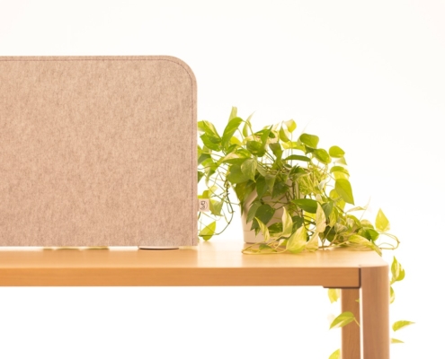 LvB Operetta Soft(1)