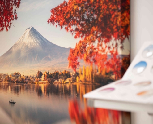 LvB quartetto con stampa a parete - open space - Shamir Rx Italia S.r.l.