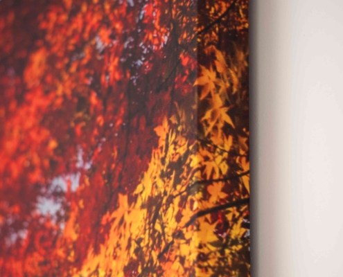 LvB quartetto con stampa a parete - open space - Shamir Rx Italia S.r.l.(3)