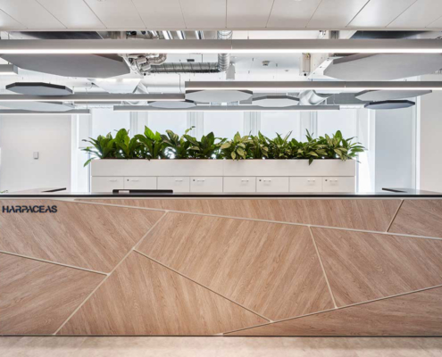 Ottava a soffitto - open space - Harpaceas(3)