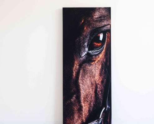 lvb_quartetto_con_stampa_a_parete_003